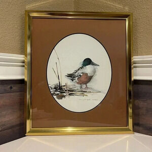 Mads Stage Original Signed Watercolor of a Sheand, Spatula Clypeata 1979